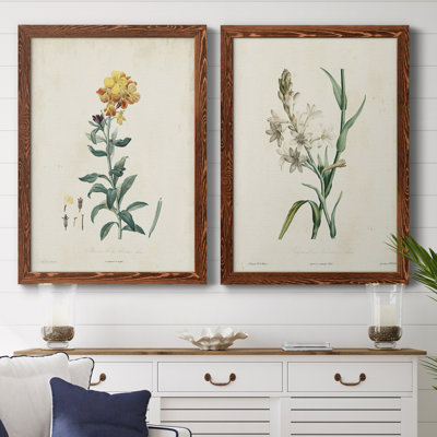 Toile encadrée de qualité supérieure Traditional Botanical III - prête à être accrochée