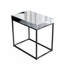 Bhargava End Table