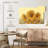 Alvord Vintage Sunflower Field-107723699