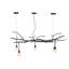 5 - Light Chandelier