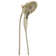 2.5 GPM Multi Function Dual Shower Head with H2OKinetic Technology