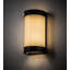 Wyant 2 - Light Flush Mounted Sconce