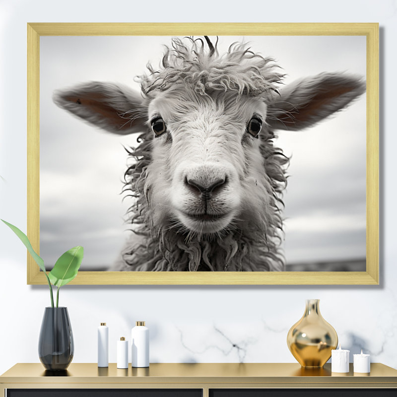Mouton sérénité - animaux, art mural, salon, Cadre doré à une seule photo, H 34 po x l 44 po x P 1,5 po