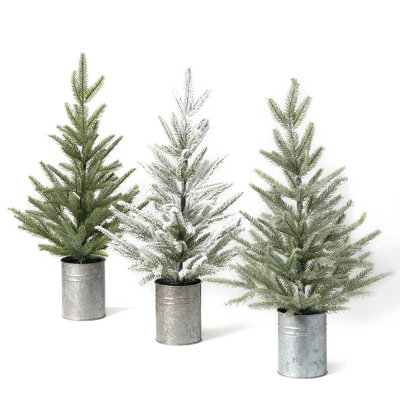 Pine Tree