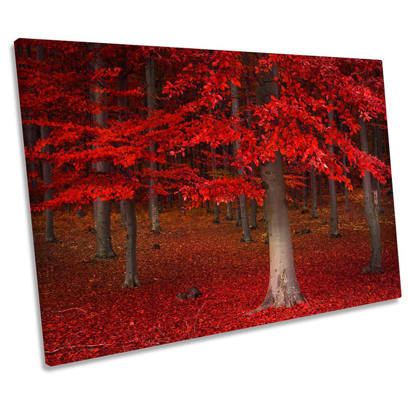 Red Forest Landscape - Wrapped Canvas Print, 30.5cm H x 45.7cm W x 2cm D