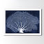 «Nautical and Coastal Coral Fan», impression d'art graphique sur papier-25408914-25408920