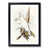 Black Framed selected