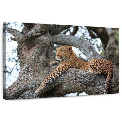 Brampt Leopard On The Prowl