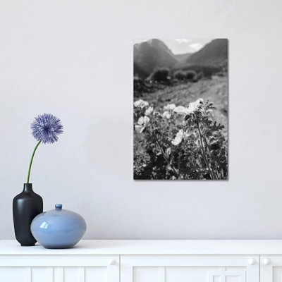Monochrome Yosemite Blooms by Bethany Young - Print on Canvas
