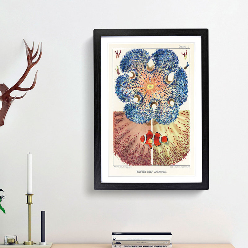 Great Barrier Reef Anemones I by W. Saville-Kent - Picture Frame Painting Print, 65cm H x 48cm W x 2cm D, Black Framed