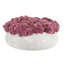Sedum Arranged in a Stone Planter-2010919695-1985559459