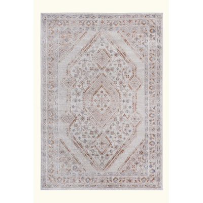 Bordered Non-Shedding Living Room Bedroom Dining Home Office Stylish And Stain Resistant Area Rug