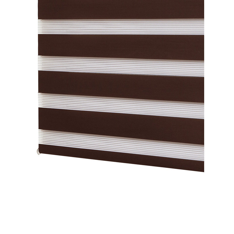 Semi Sheer Zebra Shades, 250 cm L x 145 cm W, Brown