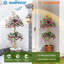 Plant-1305326297