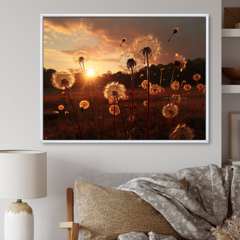 Coucher de soleil sur un champ de pissenlits I - impressions murales florales, H 34 po x l 44 po x P 1,5 po