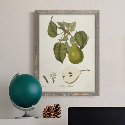 Toile encadrée vintage avec poires rétro VI - prêt à accrocher
