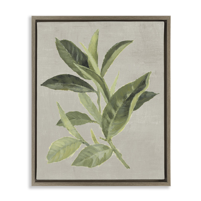 Cadre flottant feuille de thé vert, design par Lanie Loreth, Cadre flottant orme Montalcino, H 21 po x l 17 po