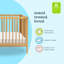 Birdie 3 in 1 Convertible Crib-89018627