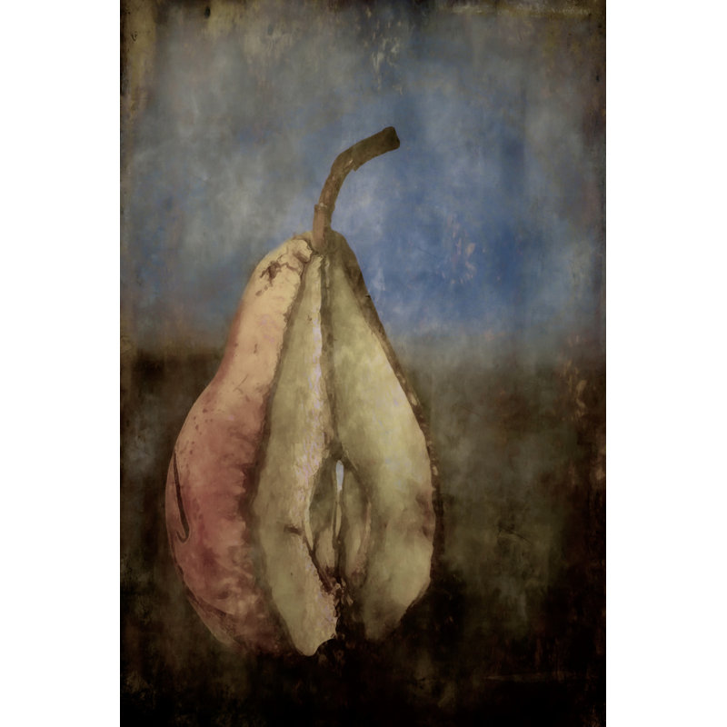 Wrapped Canvas Print, 50.8 cm H x 76.2 cm W