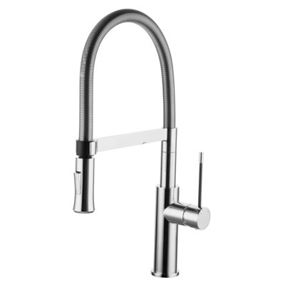 Belfry Kitchen Pull Out Kitchen Faucet