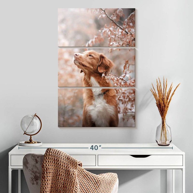 Chien d'hiver Brampt