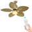 Kowalewski 52'' Ceiling Fan with LED Lights