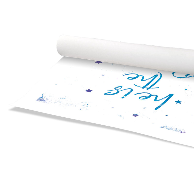 Impression sur papier Rolled Prince, H 20 po x l 20 po x P 1 po