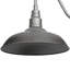 Luminaire de grange d'extérieur 15 po Ellesef-23571478