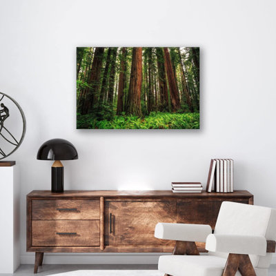 Redwood Ferns Print Wall Art - Forest Nature Poster - Botanical Fern Landscape Artwork - Redwood Tree Woodland Scene Print - Rustic Cabin Home Decor - Minimalist Nature Wall Art - Calm Greenery Botanical Gift