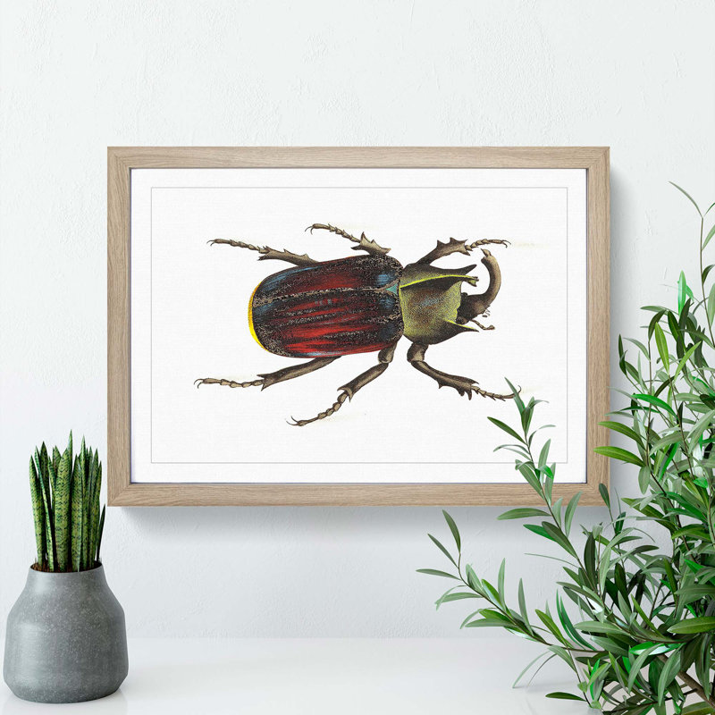 Typhon Beetle by George Shaw - Picture Frame Painting Print, 36cm H x 48cm W x 2cm D, Oak Framed