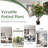 102cm Faux Flowering Tree in Cement Pot