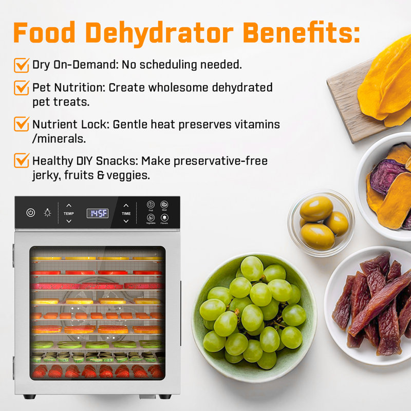 10-Tray Stainless Steel Food Dehydrator, 800W Dual Fan, Digital Timer & Temperature Control, Large Capacity Dehydrator With Glass Door For Jerky, Fruit, Herbs & Pet Treats
