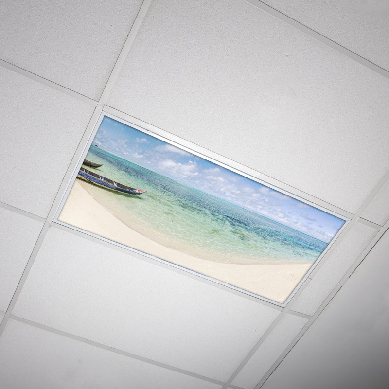Housses pour lampes de plafond Beach Classroom