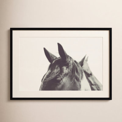 Horse Ears Macro Photo Print