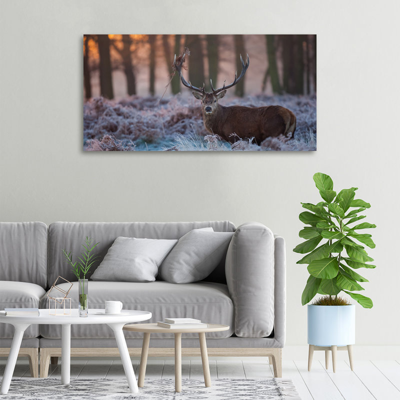 Deer At Sunrise - No Frame Print on Canvas