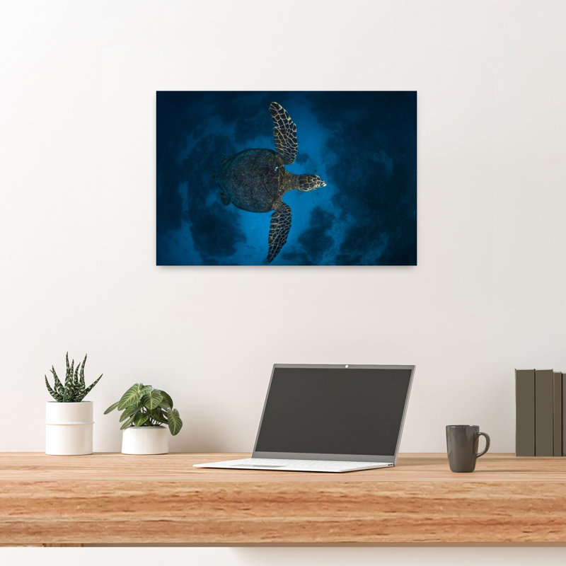 Deep Blue Sea Turtle Peaceful Serene Contemporary Turtle Nature Ocean Wall Art Print 1 Piece Wrapped Canvas Wall Art
