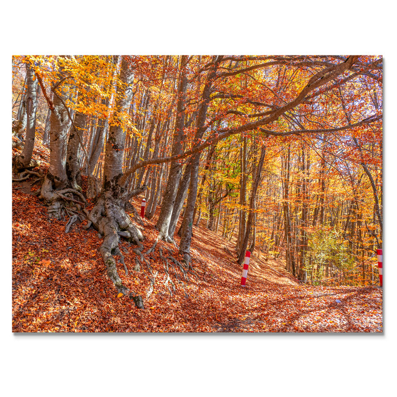 Forêt d'automne, reproduction d'art sur toile traditionnelle, H 8 po x l 12 po x P 1 po, Toile tendue