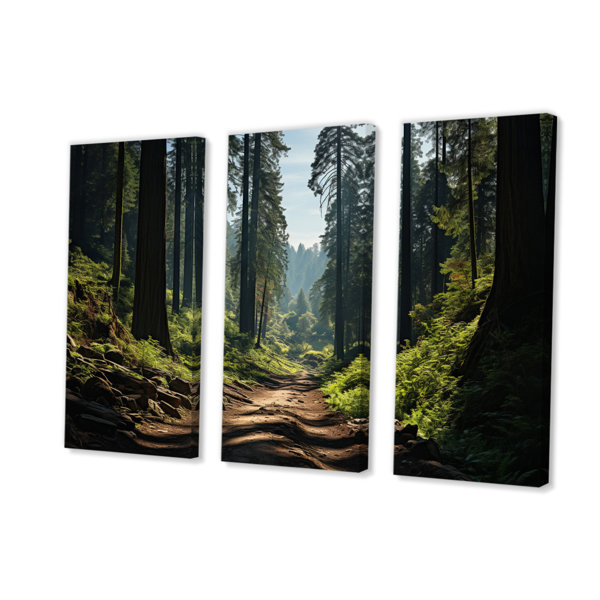 Millwood Pines " Forest Redwood National Park III " 3 - Pieces ...