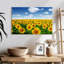 Horizon champ de tournesols Alvord-106810196