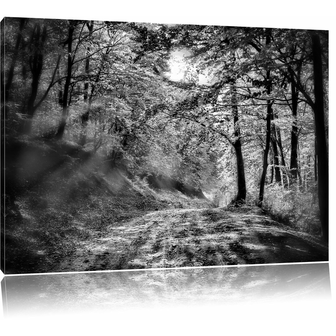 Leinwandbild Wald in Monochrom