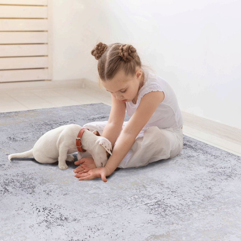 MAVAL Gold Washable Rug 4X6 Area Rug (Gray+Gold, 4' X 6'), Rectangle 4' x 6'