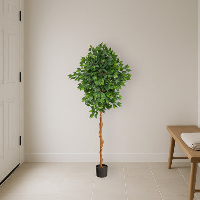 Ficus Artificial Tree