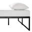 Myla 14'' Steel Platform Bed-72888605
