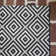 Ammons Indoor / Outdoor Rug