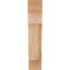 Corbeau méditerranéen-829457871-829457910-829457904