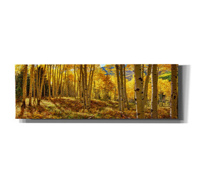 'Autumn Aspen Forest Colorado Panorama' by Lena Owens, Canvas Wall Art, 60"x20"