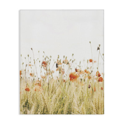 Photographie de coquelicots par Krista Broadway