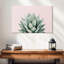 Agave Harnek Blush-107857545