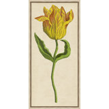 Vintage Floral Etching 2 Print