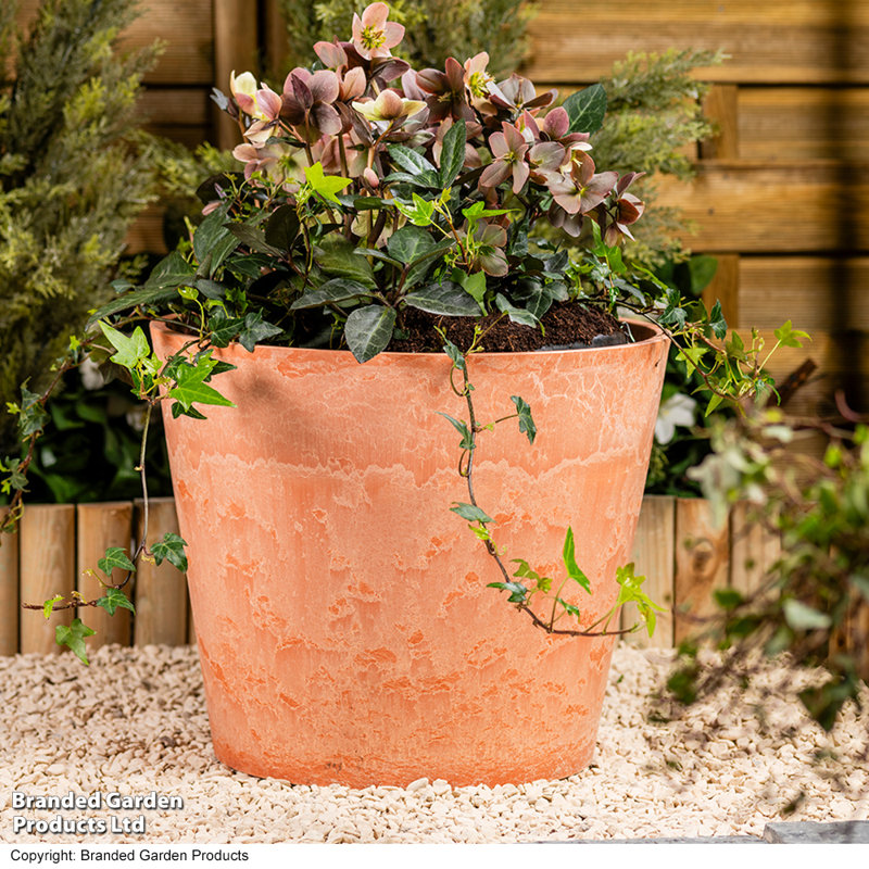 Pot Planter, 34.5cm H x 41cm W x 41cm D, Orange